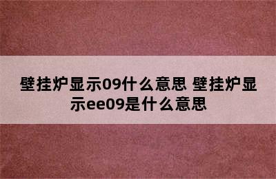 壁挂炉显示09什么意思 壁挂炉显示ee09是什么意思